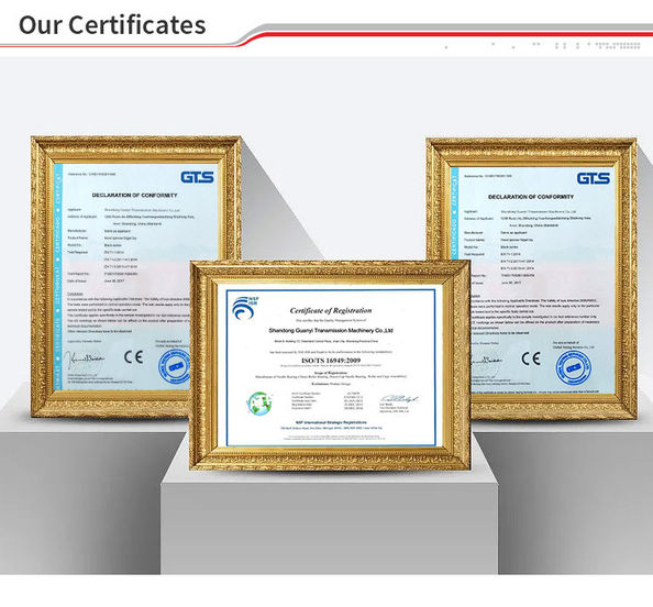 中国 Guanyi Transmission Machinery Co., Ltd. 認証